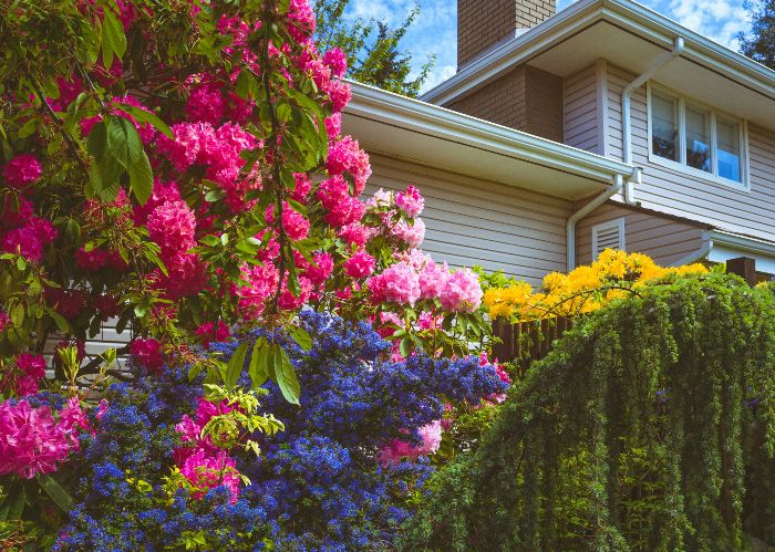 A garden filled with vibrant, colorful flowers and plants of various textures, illustrating the importance of thoughtful plant selection and placement in creating a lively and visually appealing garden.