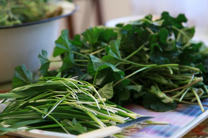Freshly harvested arugula leaves on a cutting board, showing the importance of post-harvest care to maintain freshness and flavor.