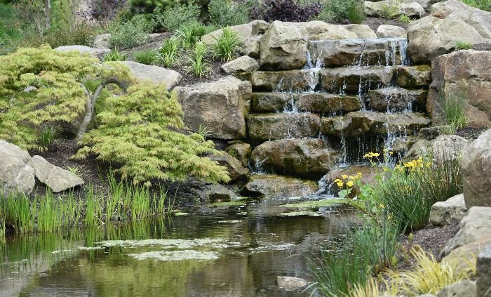 Beautiful rock garden with a waterfall, showcasing various plants and rocks, ideal for alpine conditions.