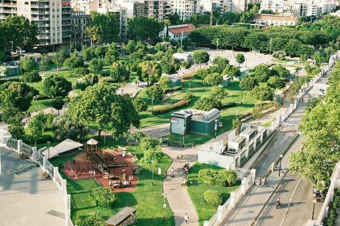 Aerial view of an urban garden with various trees and green spaces, illustrating considerations for selecting trees for urban gardens.
