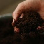 Soil aeration techniques