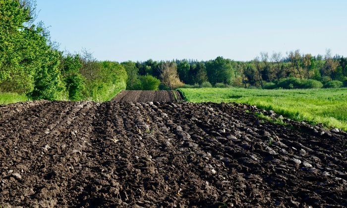 A freshly tilled field bordered by trees, illustrating the importance of soil microbes for maintaining healthy soil and promoting robust plant growth.