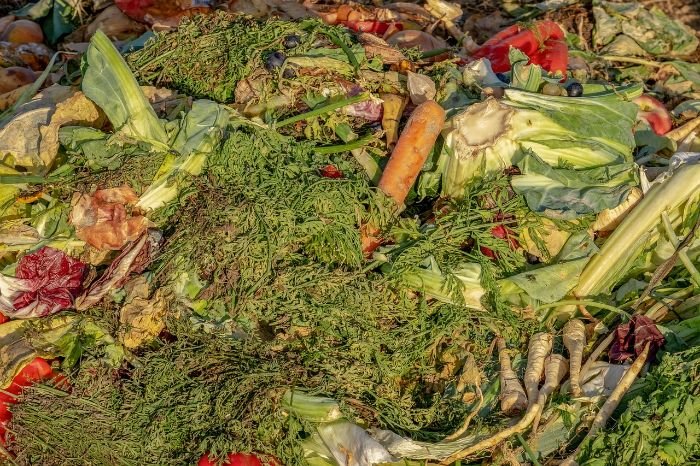 Close-up of a compost pile with various vegetable scraps and plant material, highlighting the importance of adding organic matter to support a vibrant soil microbial ecosystem.
