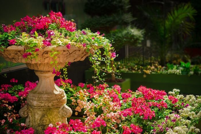 A garden with vibrant perennial flowers, illustrating the lasting beauty and benefits of planting perennials.