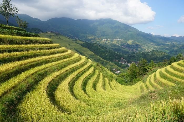 Terraced fields on a slope to prevent soil erosion in a mountainous area.