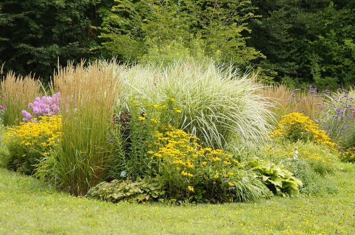 A diverse garden with various plants, illustrating the importance of choosing plants based on garden goals and specific conditions.
