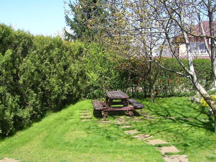 A peaceful garden scene with a wooden picnic table and lush greenery, illustrating factors to consider when selecting plants, such as ease of care, personal preferences, and desired garden aesthetics.