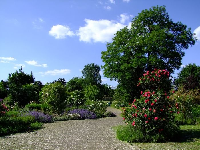 A garden pathway surrounded by a mix of perennials and annuals, illustrating strategies for integrated garden design to ensure year-round beauty.