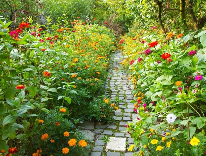 A lush garden path lined with vibrant flowers, illustrating the importance of proper watering practices to avoid common mistakes and ensure plant health.