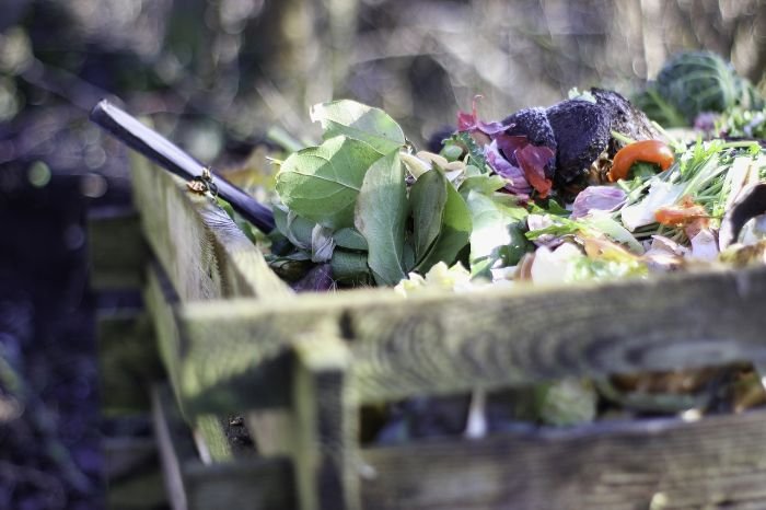 A close-up of a compost bin filled with decaying food and yard waste, illustrating nutrient-rich compost for enhancing soil health.