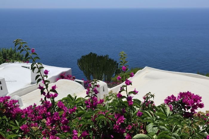 Vibrant garden with diverse plants overlooking a calm blue sea, illustrating factors to consider such as hardiness zone, soil type, sunlight, and water requirements when choosing plants for a garden.