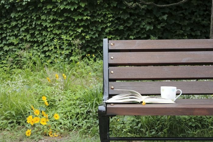 A cozy garden scene featuring a wooden bench with an open book and a cup of tea, surrounded by lush greenery and yellow flowers, illustrating the importance of designing paths and seating areas in a sensory garden.