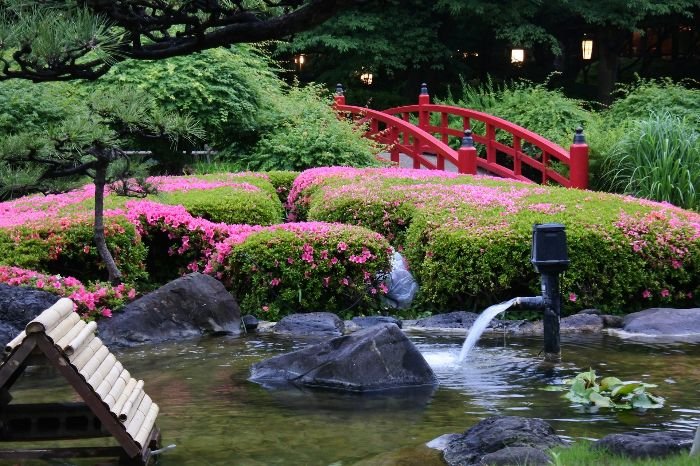 Beautiful garden with a red bridge, pink flowers, and a water feature, illustrating the incorporation of fountains and water features for elegance and tranquility.