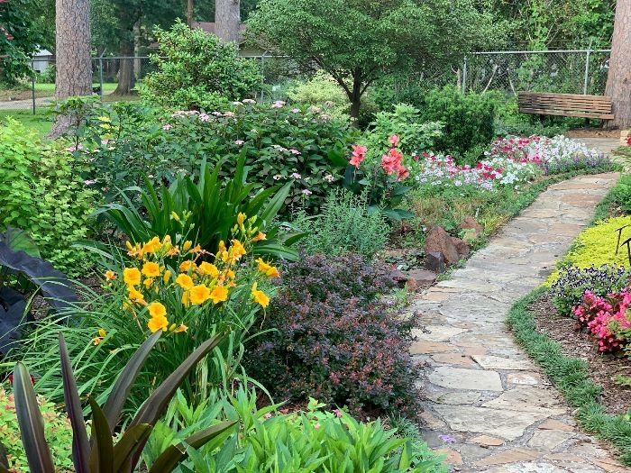 A lush garden with a stone path, illustrating minimal soil disturbance techniques such as strip-tilling or no-till gardening, which help maintain soil structure and organic content.