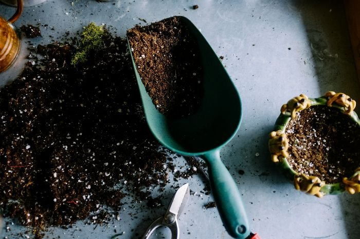 Gardening tools and soil on a table, illustrating the importance of regularly checking and monitoring soil health to ensure optimal growing conditions and soil strength.