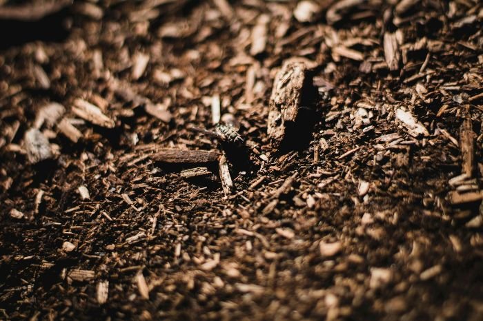 Mulch used in a garden to retain moisture, regulate soil temperature, and prevent weeds, helping maintain healthy plant roots and overall garden health.