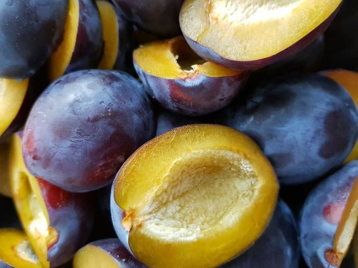 Close-up of freshly harvested homegrown plums, highlighting their rich nutritional value and health benefits.