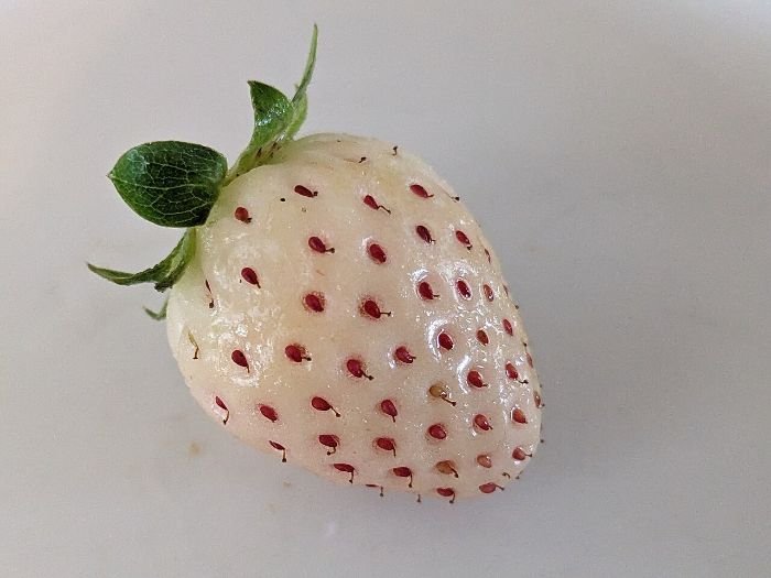 Pineberry with white or yellow skin and red seeds, known for its sweet and tangy flavor, perfect for sweets and salads.