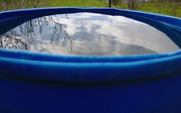 Close-up of a blue rainwater barrel filled with water reflecting sky and trees, illustrating rainwater harvesting techniques for gardeners