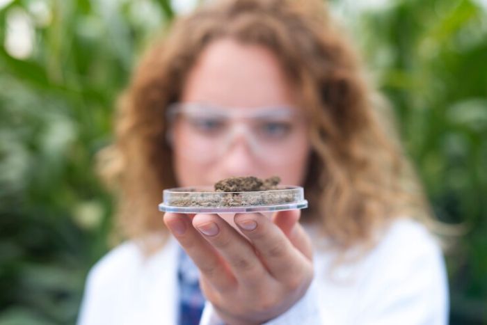 Scientist holding a soil sample in a petri dish, emphasizing the importance of testing and monitoring soil health for effective gardening.