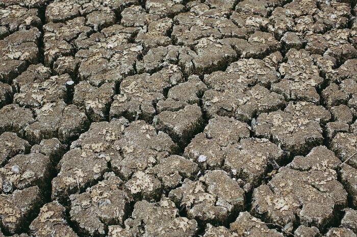 Close-up of dry, cracked soil highlighting the importance of effective water management strategies for maintaining soil health and conserving water resources.