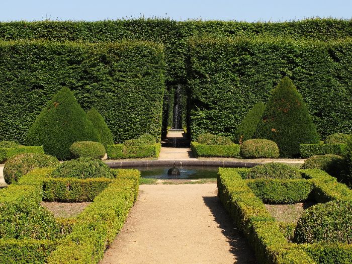 Beautiful garden landscape with meticulously trimmed boxwood hedges showcasing formal and informal garden designs.