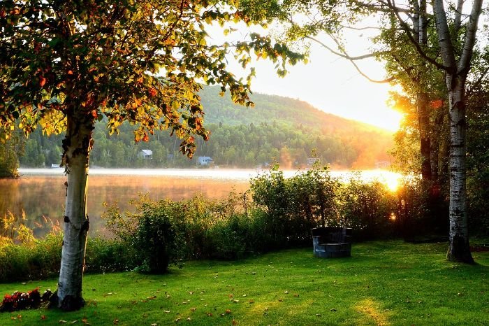 Sunset over a serene garden landscape, showcasing a special garden type designed for relaxation and beauty.