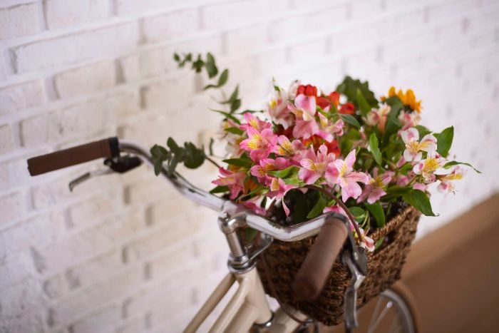 Colorful flowers in a bicycle basket indoors, symbolizing the importance of adjusting plant placement throughout the year for optimal sunlight.