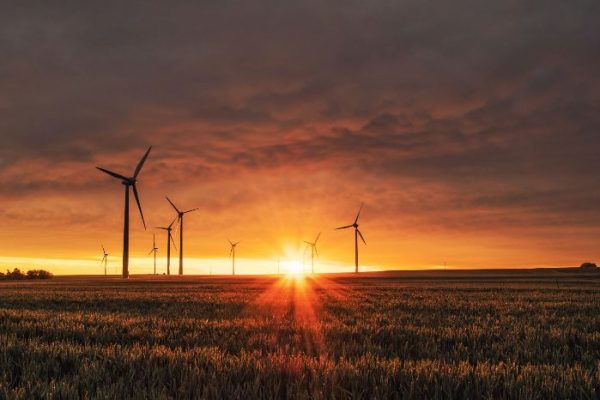 Sunset over a field with wind turbines, representing the impact of climate considerations on sustainable watering practices.
