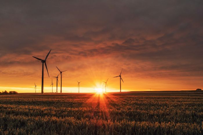 Sunset over a field with wind turbines, representing the impact of climate considerations on sustainable watering practices.