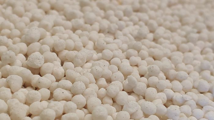Close-up of granular fertilizer to avoid common fertilization mistakes that can harm chrysanthemum growth, such as nutrient imbalances and root burn.