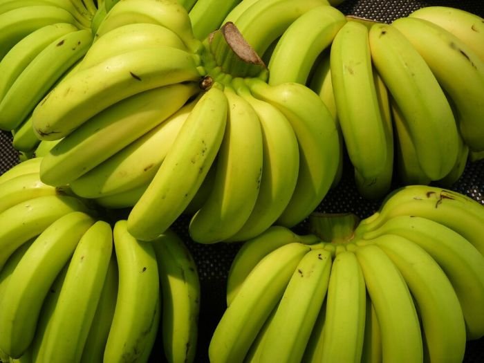 Close-up of freshly harvested green bananas, highlighting when to pick bananas based on color and firmness for best taste and quality.