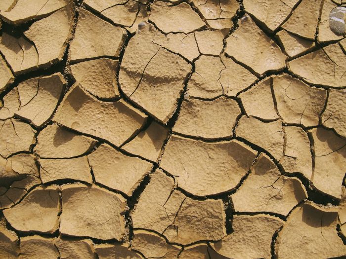 Close-up of cracked dry soil, illustrating the negative effects of underwatering on soil health and structure, causing damage and nutrient loss.