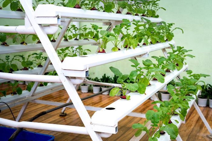 Vertical garden setup using hydroponics with plants growing in a nutrient-rich water system, showcasing space-saving and efficient gardening methods.