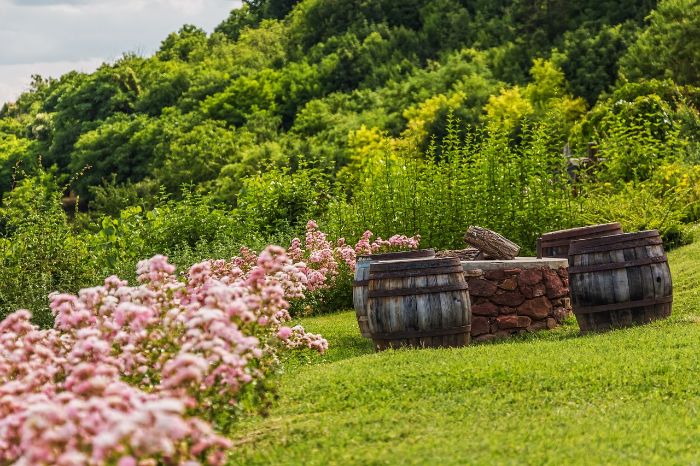 leveraging rain barrels water catchment systems garden