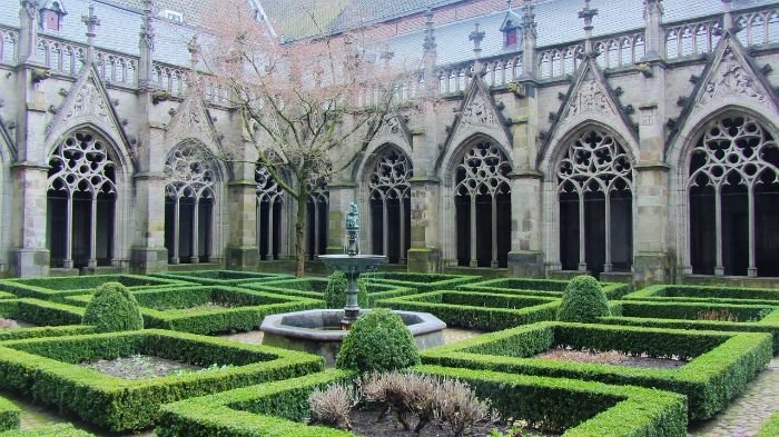 Well-maintained boxwood hedges in a courtyard garden, demonstrating long-term care strategies for strong growth and aesthetics.