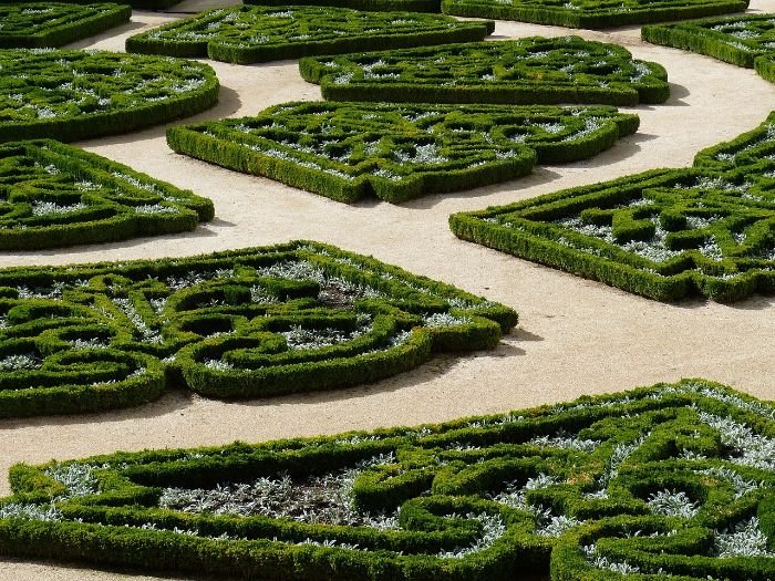 Boxwood hedges carefully pruned into intricate shapes, showcasing regular maintenance techniques for keeping their form over time.