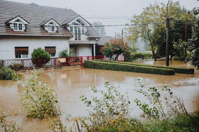 Flooded yard surrounding a house with trees and shrubs in need of pruning after severe weather damage.