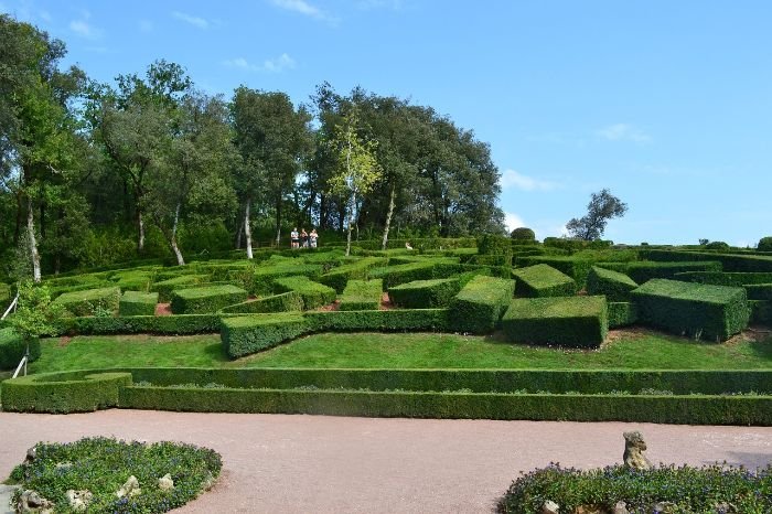 Beautifully shaped boxwoods in a formal garden landscape, showcasing rounded and architectural designs for aesthetic appeal.