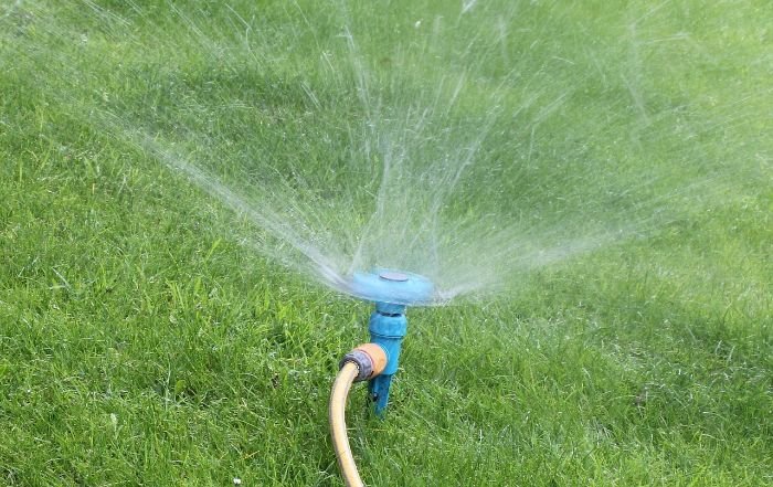 Sprinkler watering grass, illustrating the misconception that sprinklers provide sufficient water for all plants in the garden.