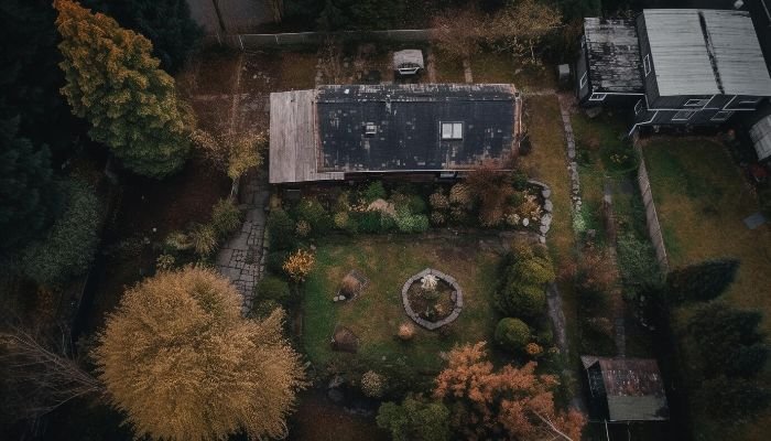 Aerial view of a garden space, perfect for assessing site conditions and planning garden design.