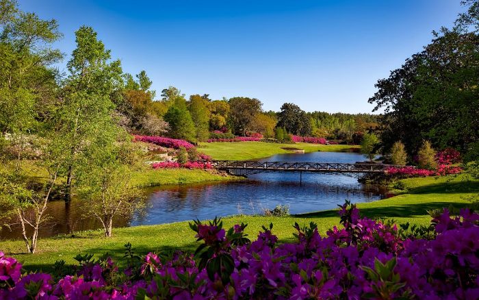 A scenic garden landscape with a bridge over a pond, showcasing the importance of maintaining soil quality for overall garden resilience and ecosystem health.