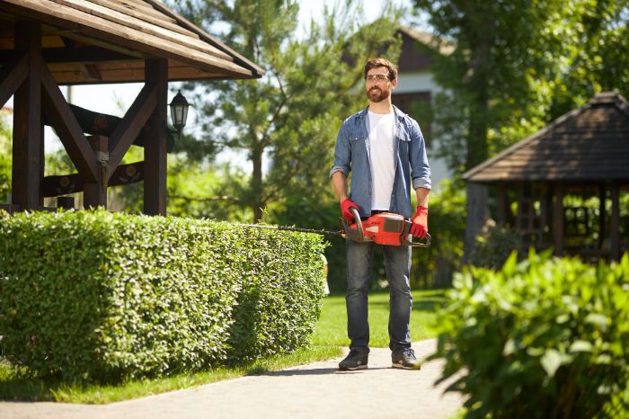 Gardener standing next to a neatly trimmed boxwood hedge while holding a hedge trimmer, demonstrating planting and care tips for healthy boxwoods.