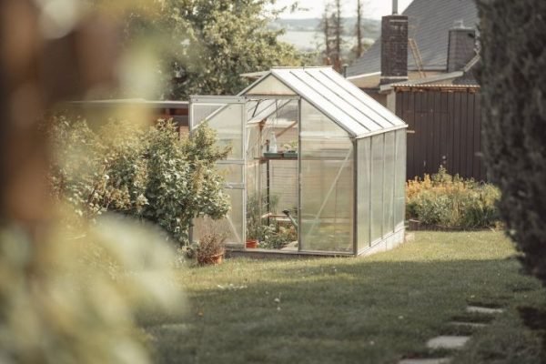 A backyard greenhouse surrounded by lush greenery, illustrating various factors to consider when choosing the right greenhouse to meet gardening needs.