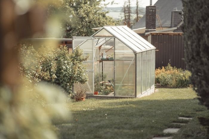 A backyard greenhouse surrounded by lush greenery, illustrating various factors to consider when choosing the right greenhouse to meet gardening needs.