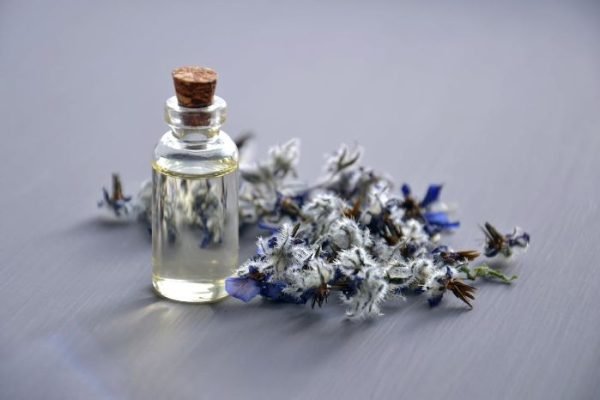 Glass bottle of essential oil with dried lavender flowers, illustrating the basics of essential oils for beginners