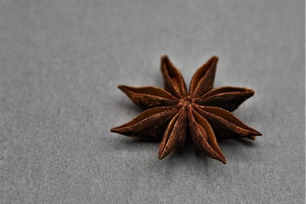 Close-up of a star anise flower on a gray background, highlighting its natural beauty and its use as an edible flower in culinary practices.