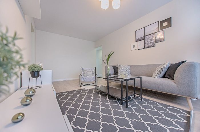 Inviting minimalist living room with grey sofa, patterned rug, and wall art for a cozy and functional space