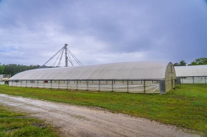 Large temporary greenhouse structure on a grassy field, illustrating the use of low-cost materials like PVC pipes and plastic sheeting for budget-friendly greenhouse construction.