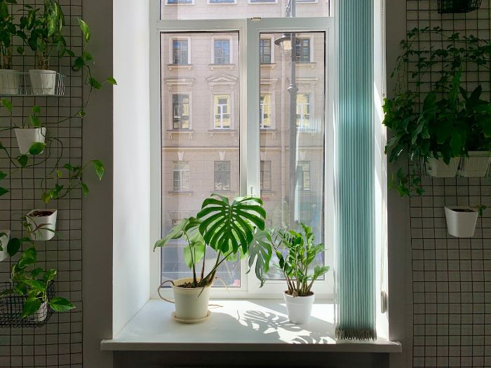 Minimalist windowsill with potted plants, illustrating creative ways to repurpose sentimental items to maintain memories while reducing clutter.